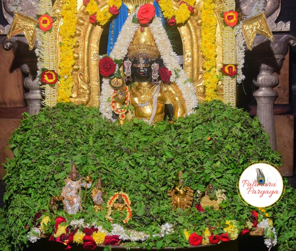 Shri Krishna Daily Darshana - Palimaru Paryaya